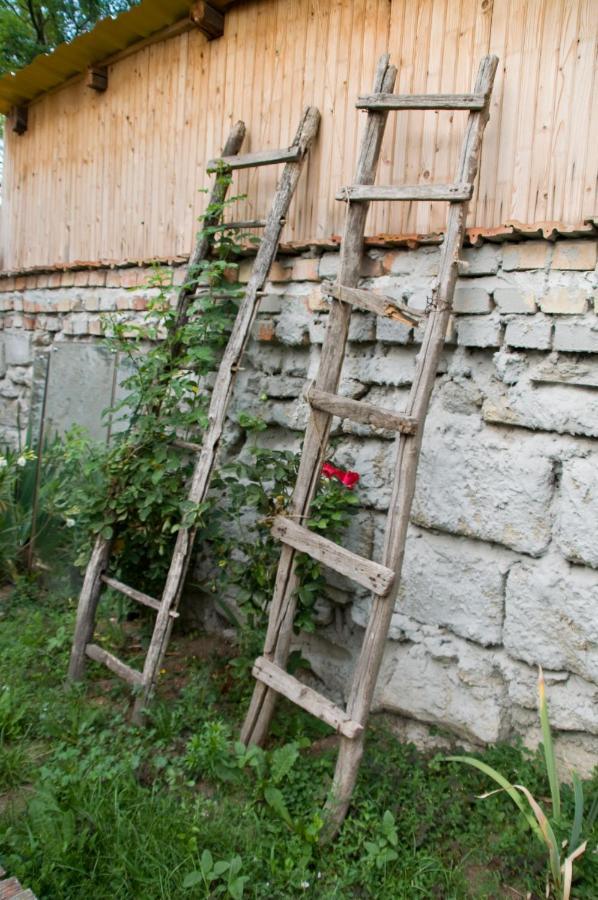 Notas Tuecsoek Vendeghaz Agyagosszergény Exterior foto