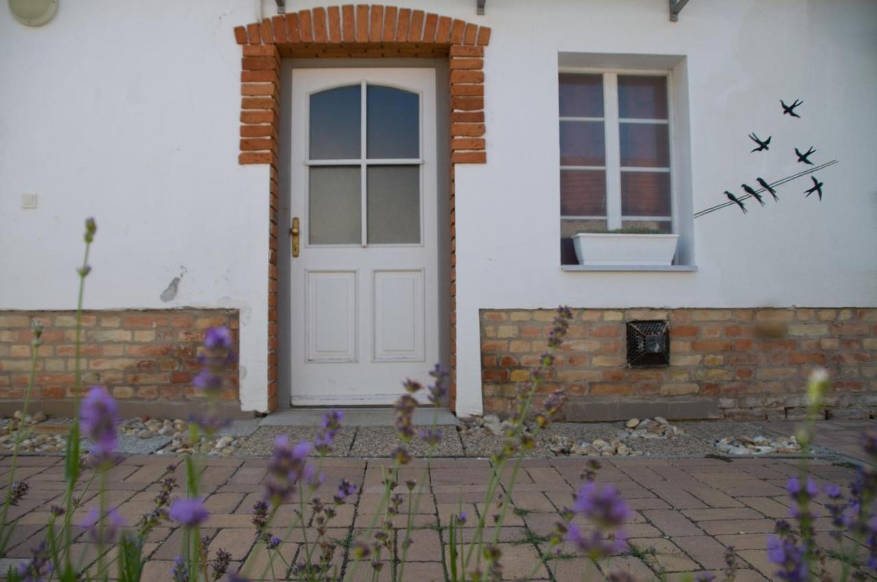 Notas Tuecsoek Vendeghaz Agyagosszergény Exterior foto